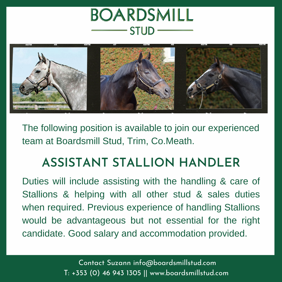 Recruitment Stallion Handler